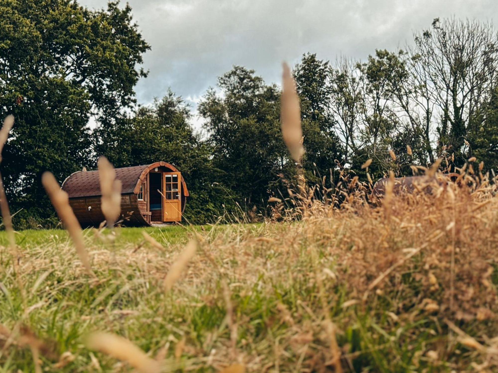 Fully Furnished Bell Tent 1 St Austell Buitenkant foto